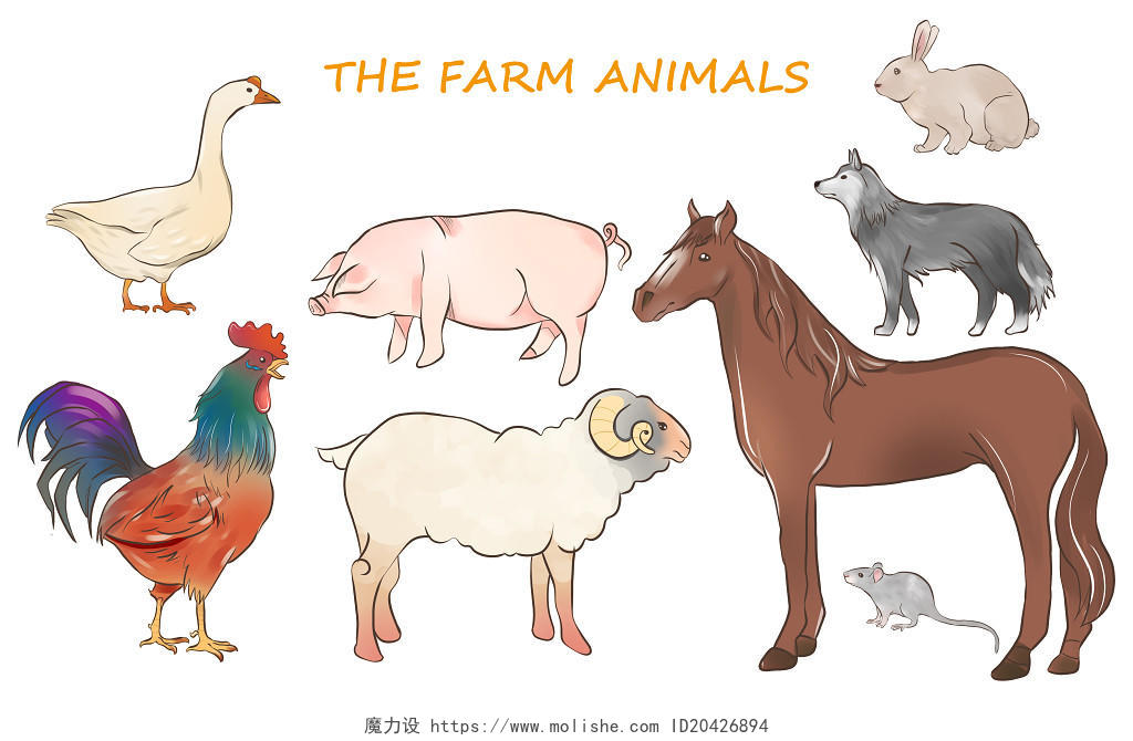 动物元素插画